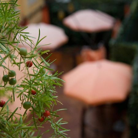 Sweet Dream Trevi Bed & Breakfast Rome Exterior photo