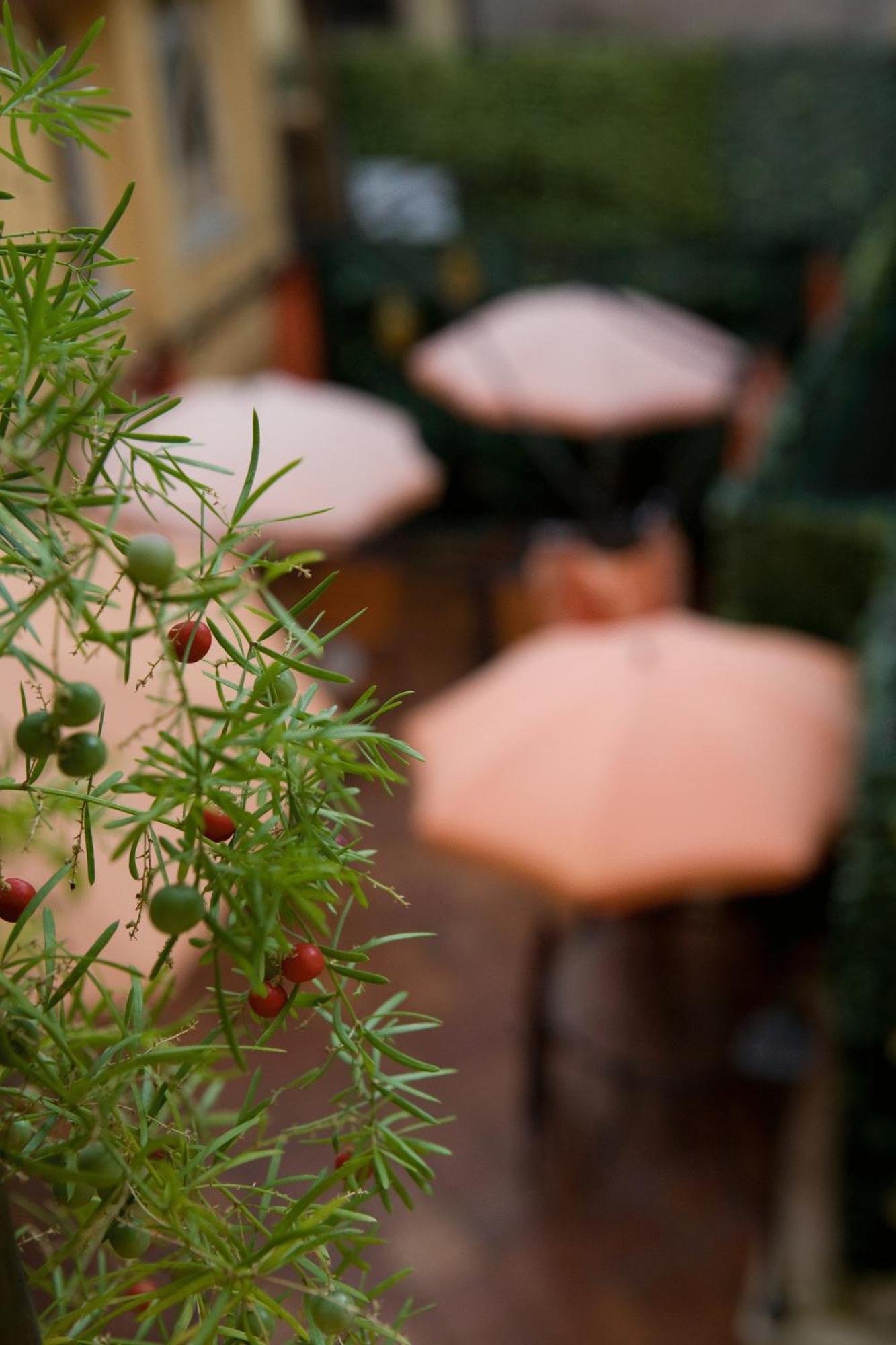 Sweet Dream Trevi Bed & Breakfast Rome Exterior photo